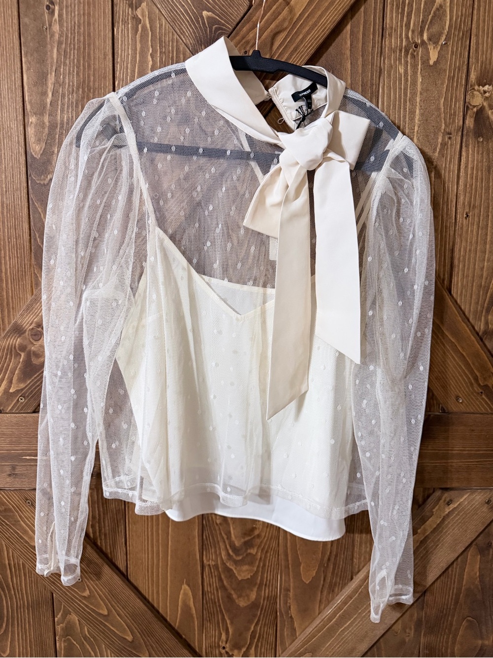 Express Cream Sheer Dot Tie-Neck Blouse